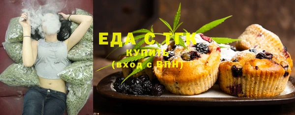 индика Сосновка