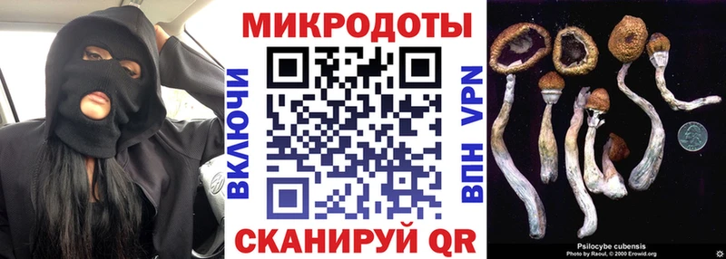 Псилоцибиновые грибы Magic Shrooms Белово